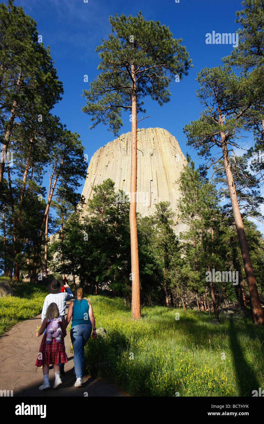 Alti pini ombreggiare il percorso Devils Tower National Monument, Wyoming . Foto Stock
