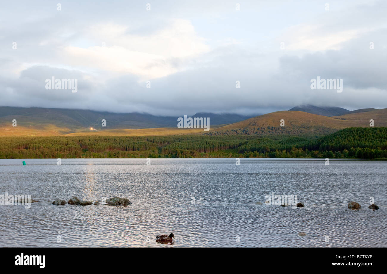 Il cairngorms da sul Loch Morlich al tramonto Foto Stock