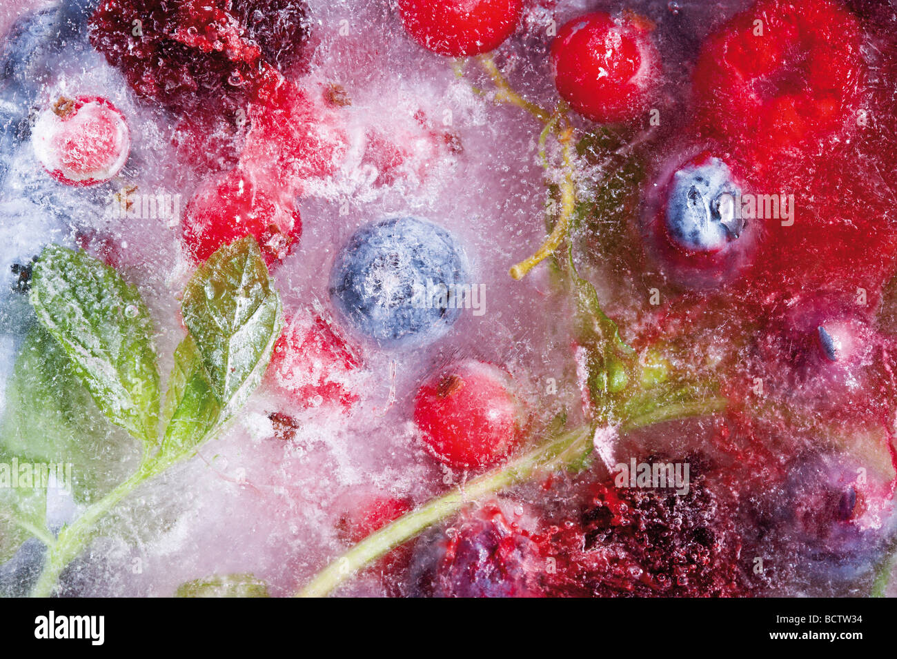 Frutti di bosco in un blocco di ghiaccio Foto Stock