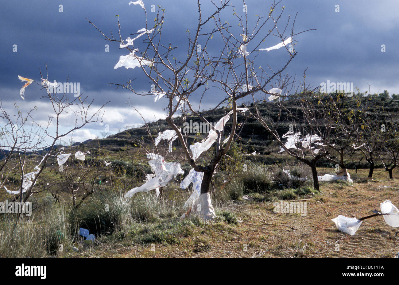 Discarica per rifiuti e inquinamento ambientale sacchetti di plastica incollato in alberi di Elche De La Sierra Castilla la Mancha Spagna Foto Stock