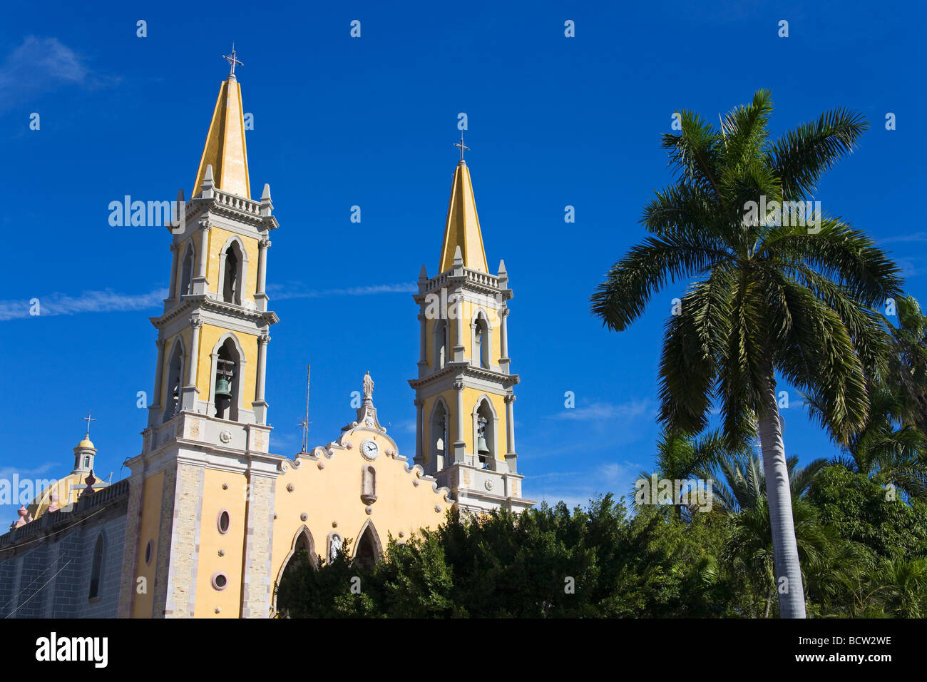 Le palme di fronte di una cattedrale, Cattedrale dell Immacolata Concezione, Mazatlan, Sinaloa, Messico Foto Stock