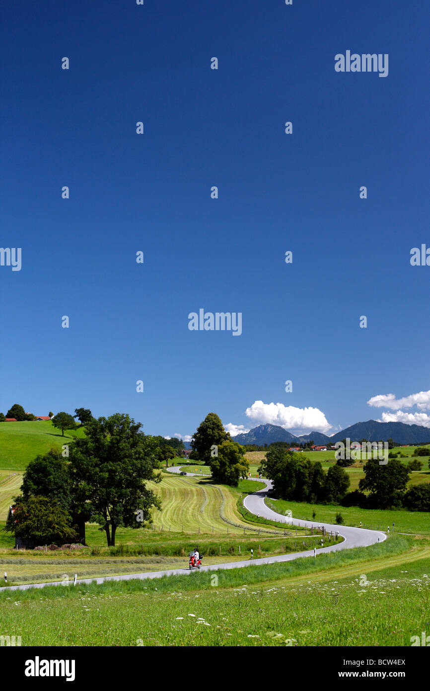 Road, scooter, moto, paesaggio, Estate Lago Riegsee, Murnau, Alta Baviera, Baviera, Germania, Europa Foto Stock