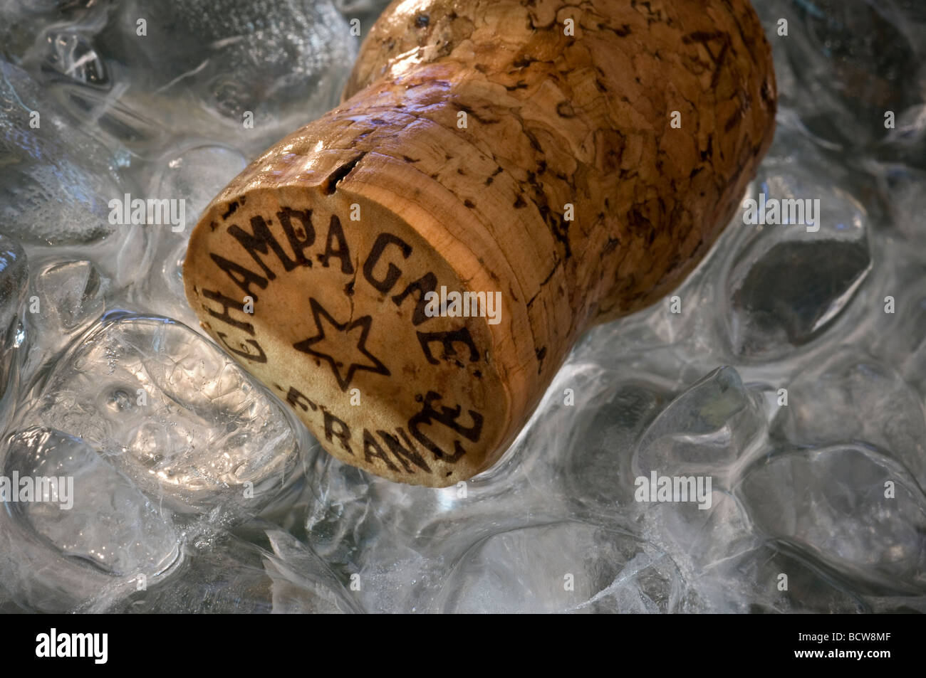 Tappo dello champagne di cubetti di ghiaccio di close-up su champagne francese il sughero galleggiante nel Secchiello per ghiaccio Foto Stock