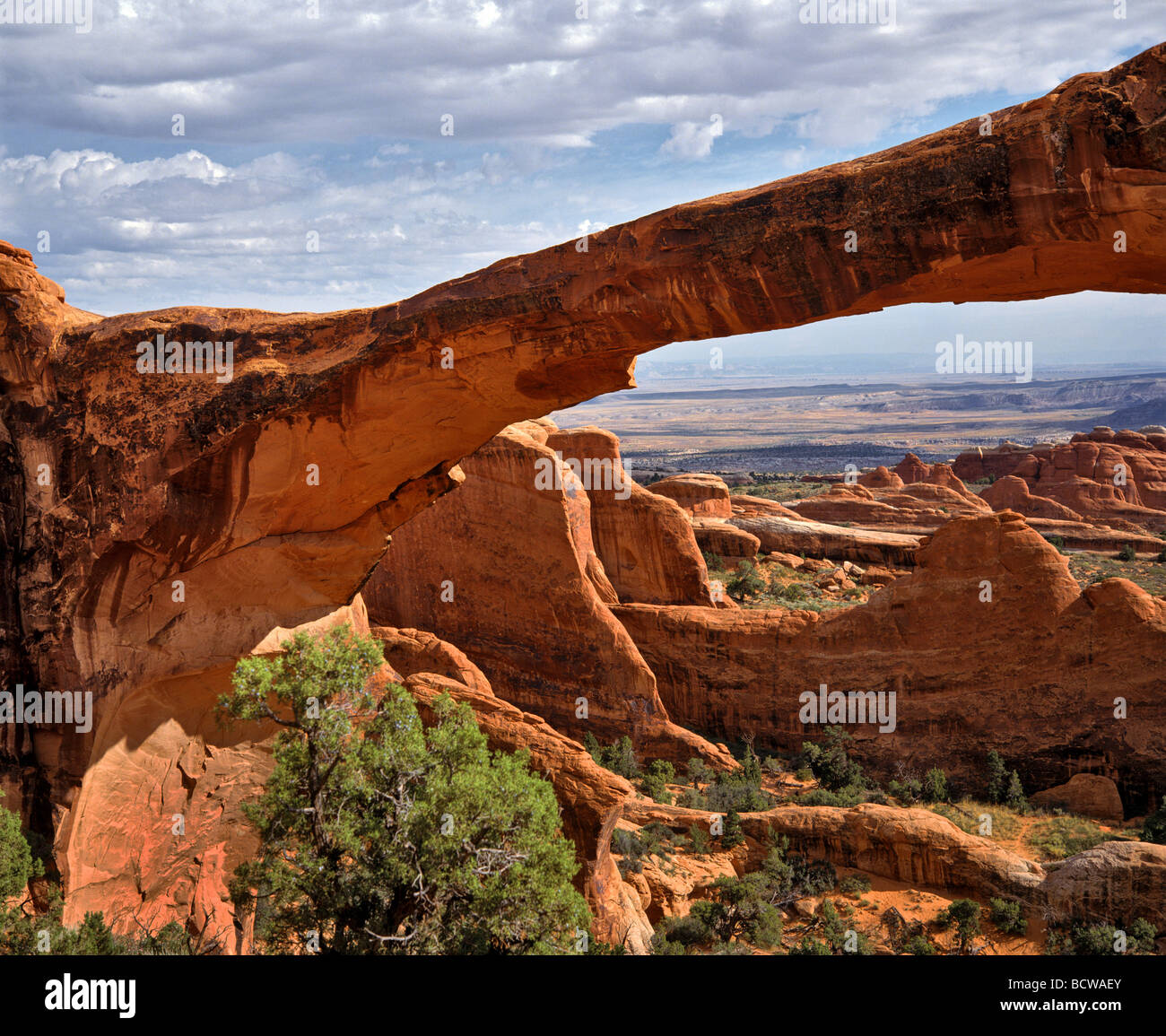 Landscape Arch Rock arch, Arches National Park, Utah, Stati Uniti d'America Foto Stock