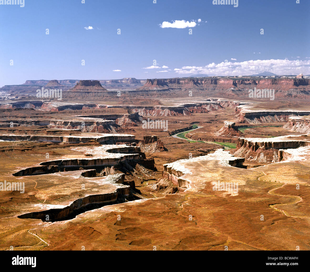 White Rim, Green River, Canyonlands, Colorado conflux, Utah, Stati Uniti d'America Foto Stock