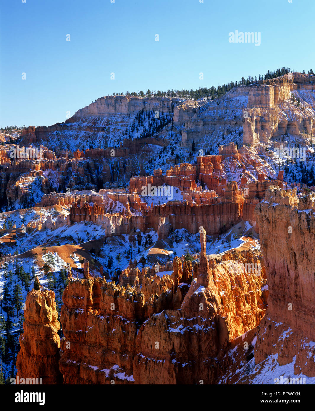 Parco Nazionale di Bryce Canyon, erosione, neve fresca, Utah, Stati Uniti d'America Foto Stock
