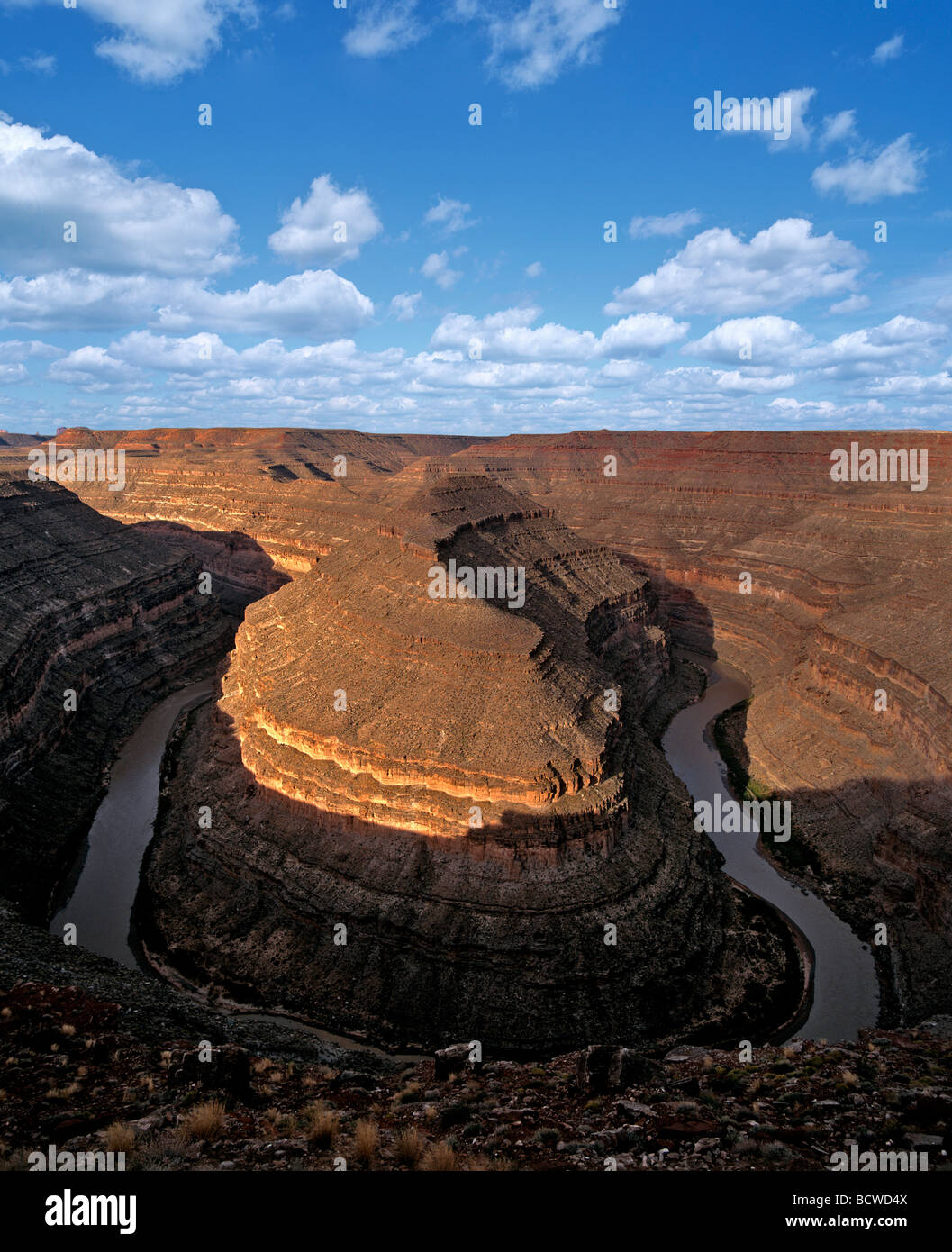 Collo d'oca, il fiume San Juan, Utah, Stati Uniti d'America Foto Stock