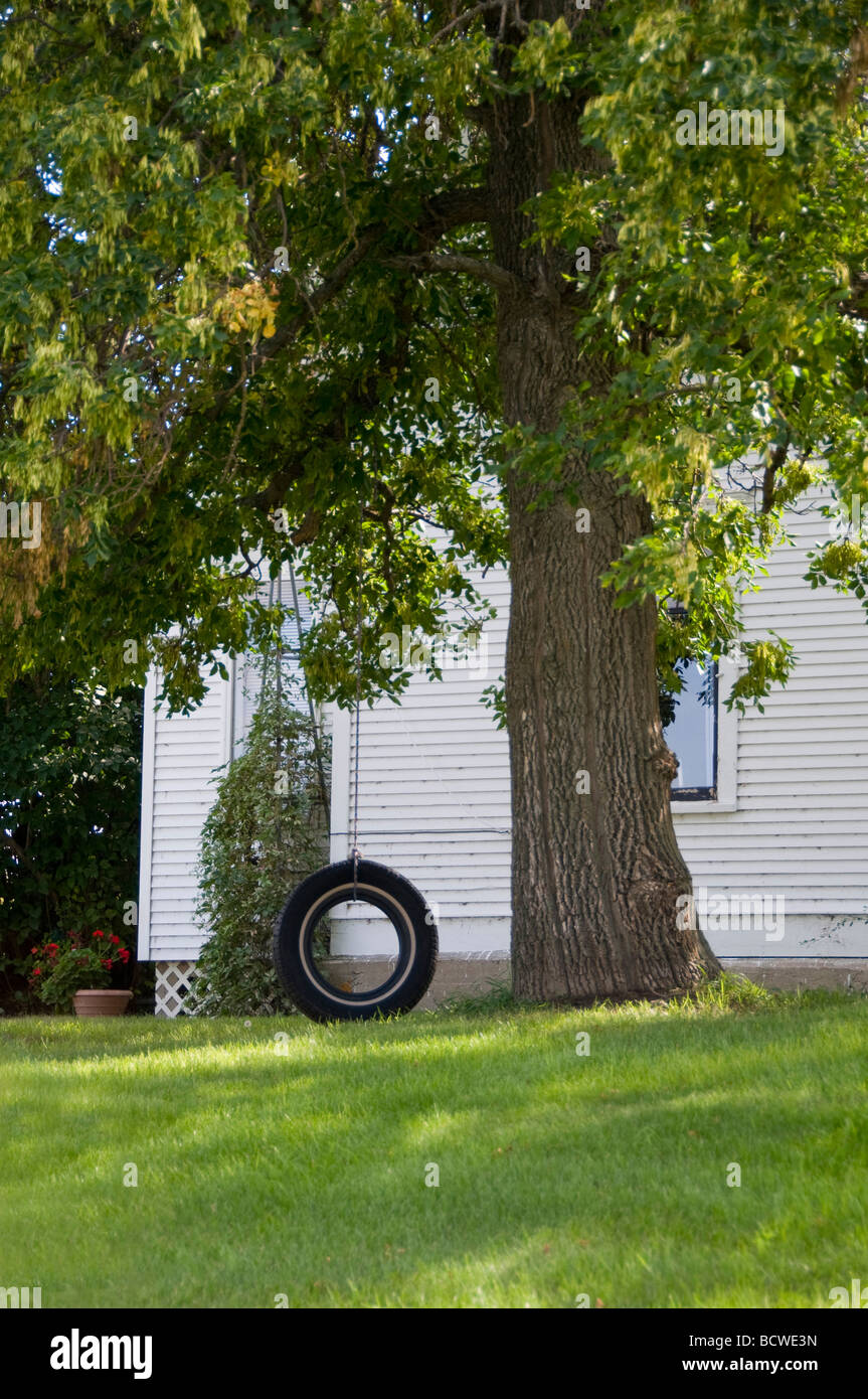 Tire Swing appeso a un albero Foto Stock