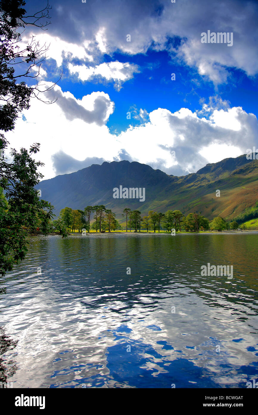 Alberi di pino sulla battigia Buttermere Honnister Pass Parco Nazionale del Distretto dei Laghi Cumbria County Inghilterra REGNO UNITO Foto Stock