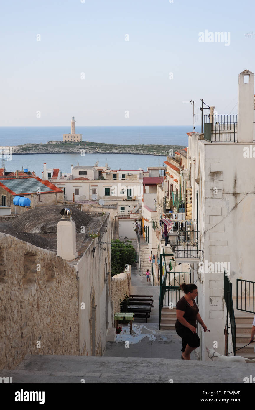 Europa Italia Regione Puglia Gargano della città di Vieste Foto Stock