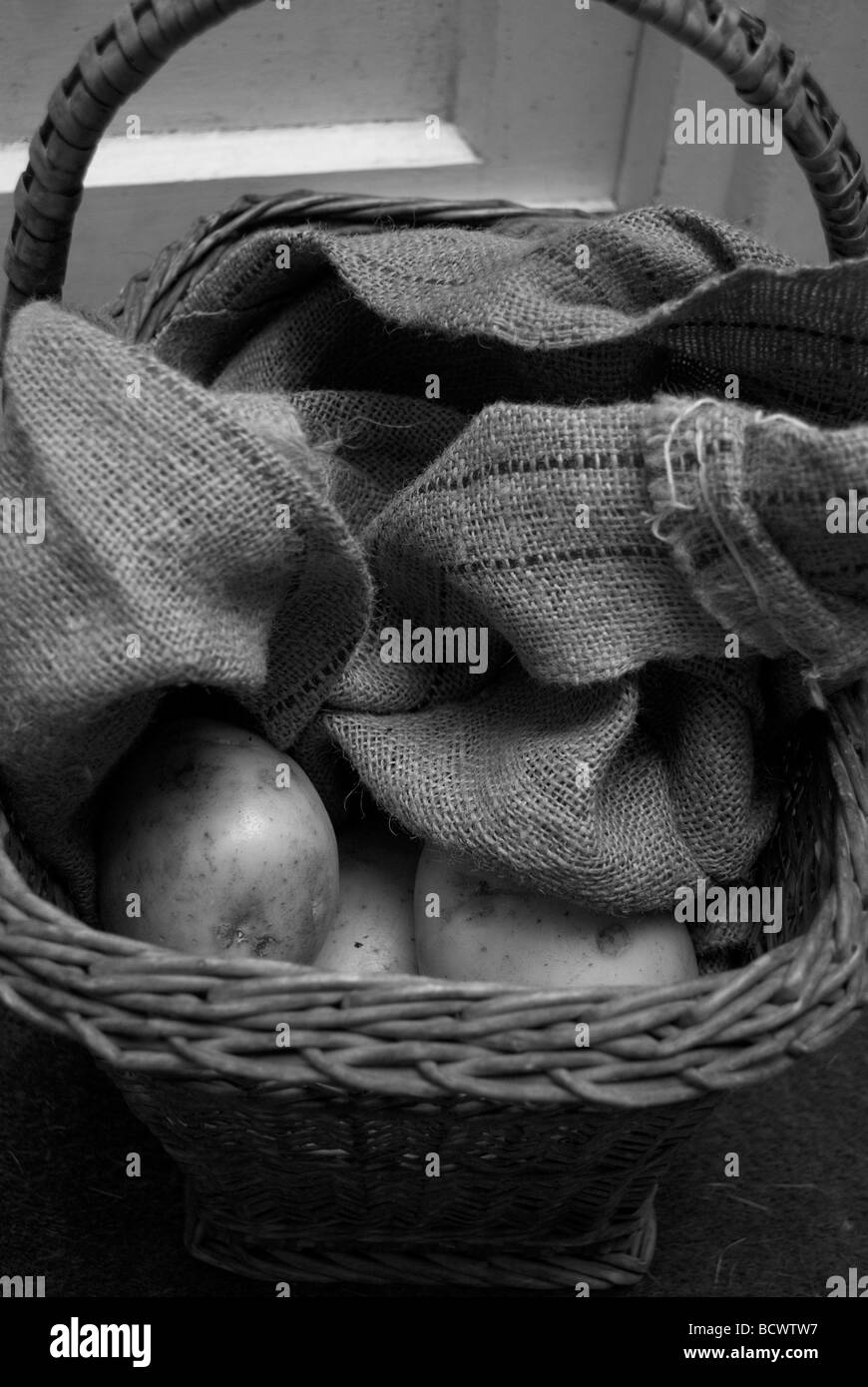 Patate essendo mantenuto in Assia in un cestello. Foto Stock