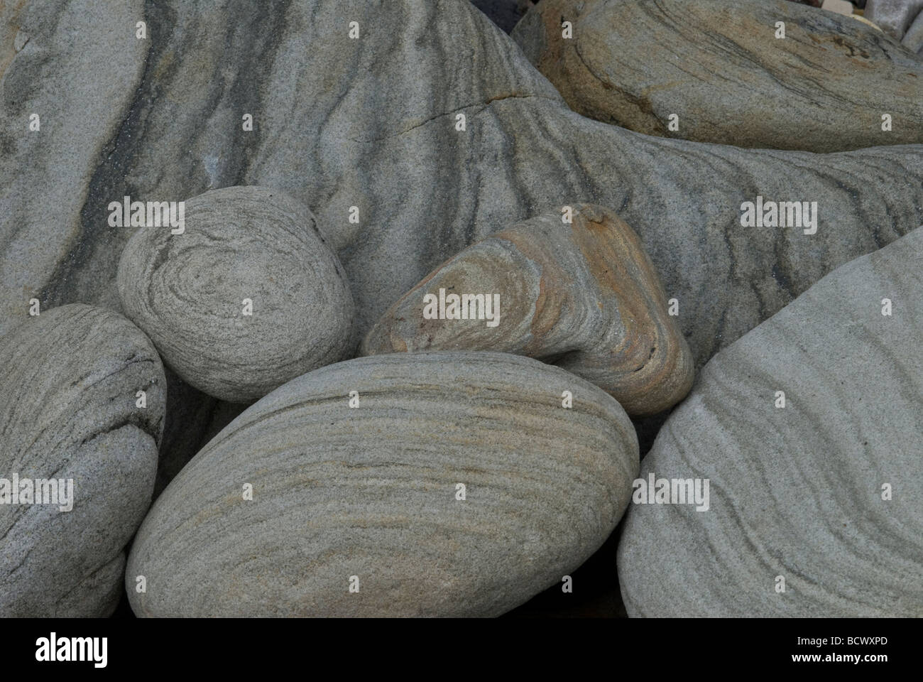 Rocce Paterned sulla riva del mare Seahouses Northumberland REGNO UNITO Foto Stock
