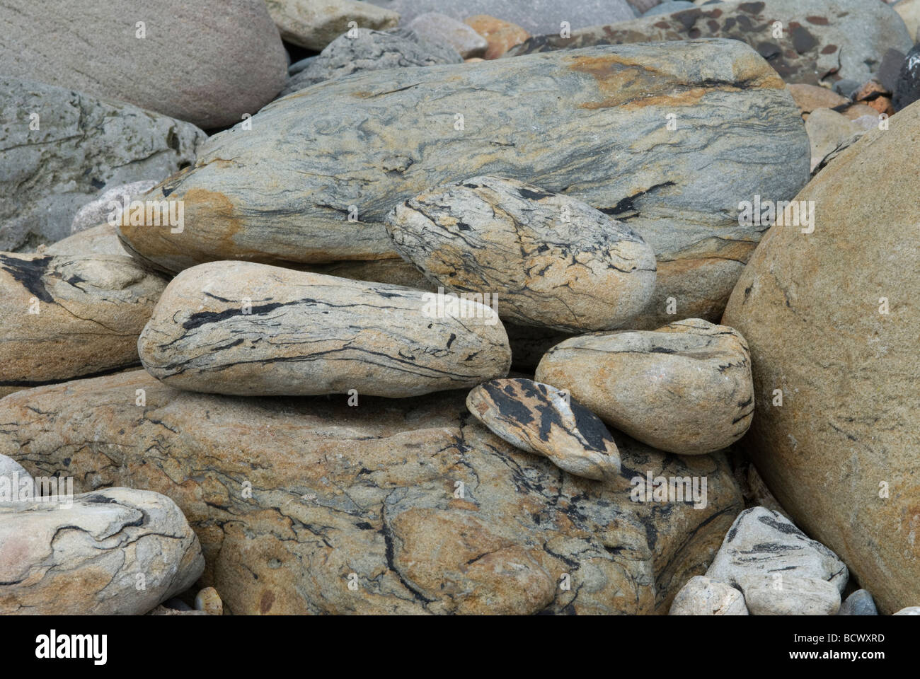 Rocce artistiche modellate in modo naturale sulla costa del mare Seahouses Northumberland UK Foto Stock