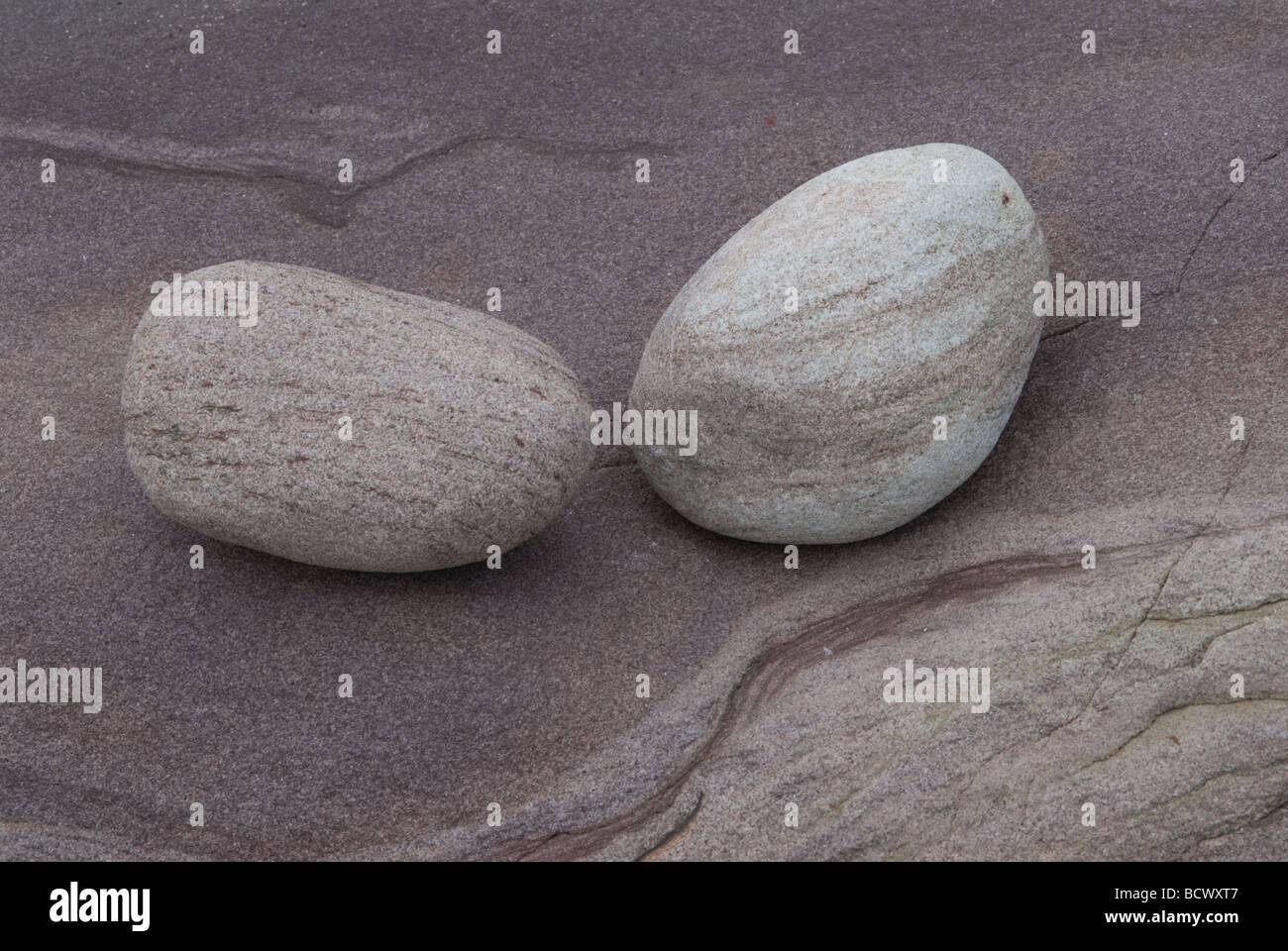 Rocce artistiche modellate sulla costa del mare a Seahouses Northumberland UK Foto Stock