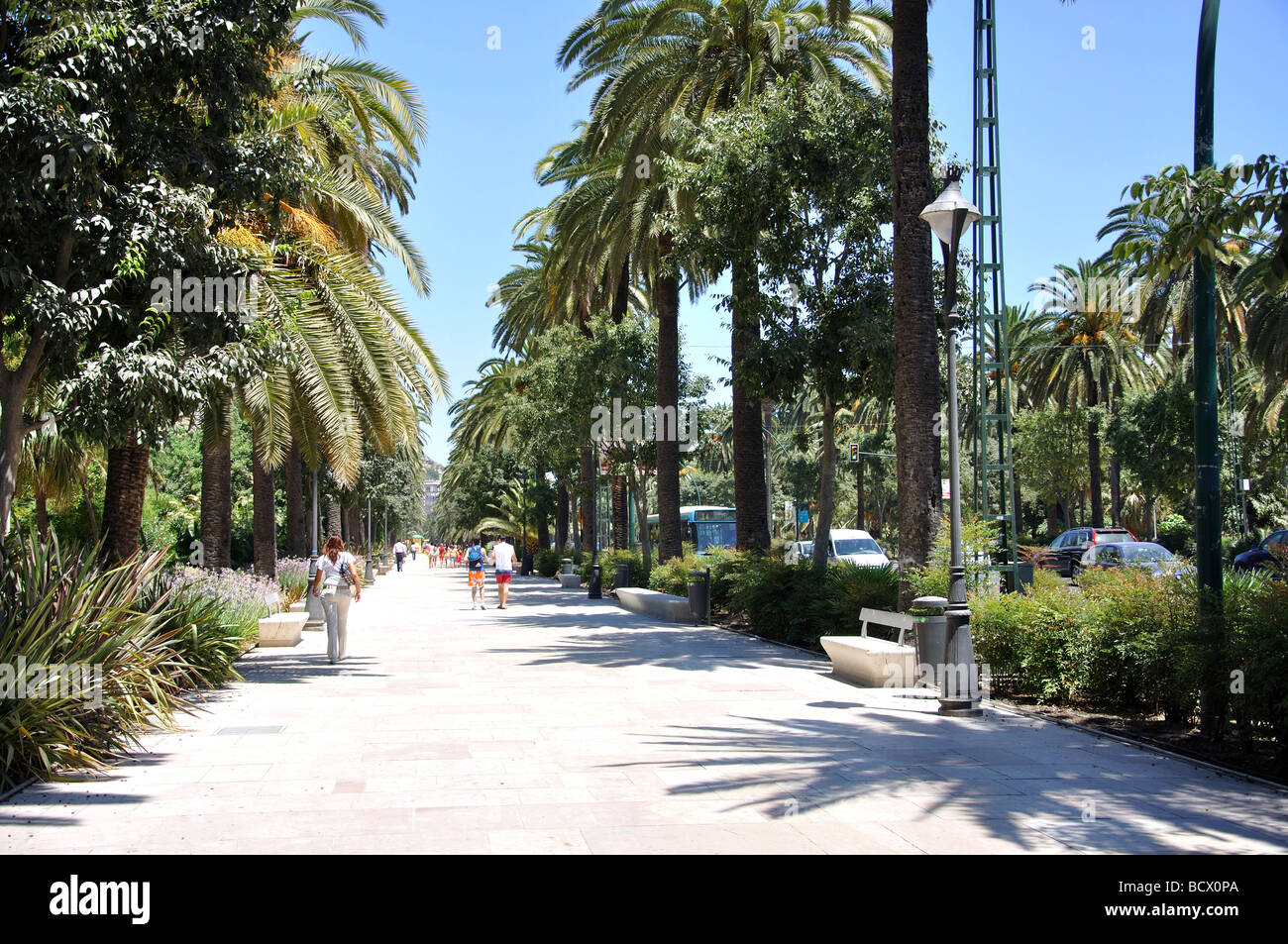 Paseo del Parque, Malaga, Costa del Sol, provincia di Malaga, Andalusia, Spagna Foto Stock
