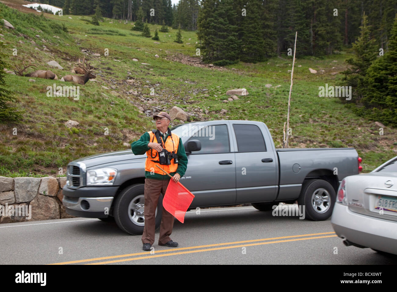 Volunteer dirige il traffico nel Parco Nazionale delle Montagne Rocciose Foto Stock