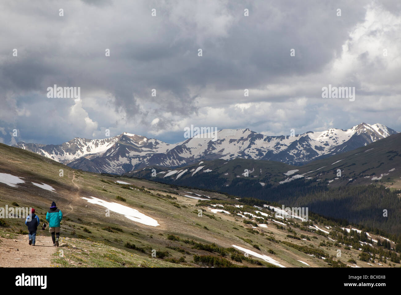 Gli escursionisti sul sentiero sopra albero linea nel Parco Nazionale delle Montagne Rocciose Foto Stock