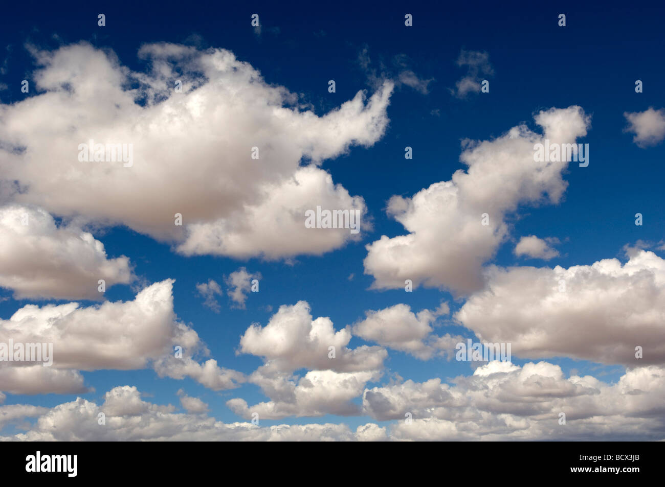 Puffy nuvole nel cielo del deserto Foto Stock