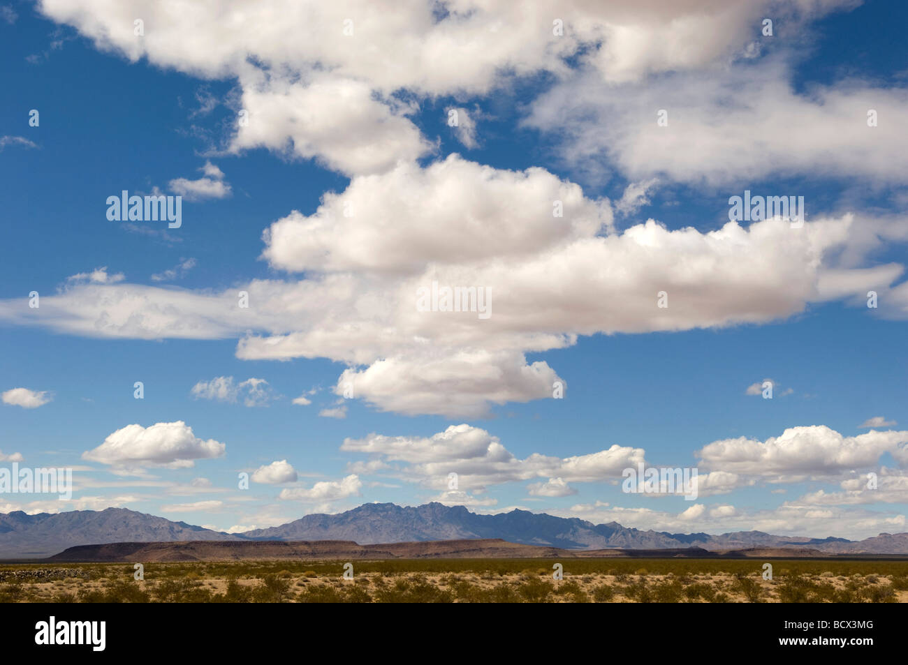 Puffy nuvole nel cielo del deserto Foto Stock