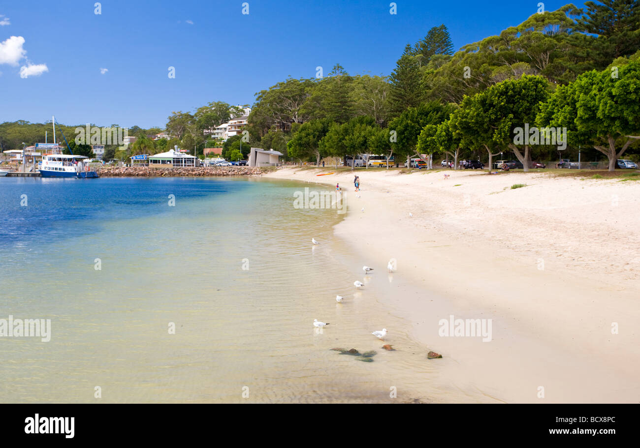 La spiaggia di Marina Nelson Bay Port Stepehsn Australia Foto Stock