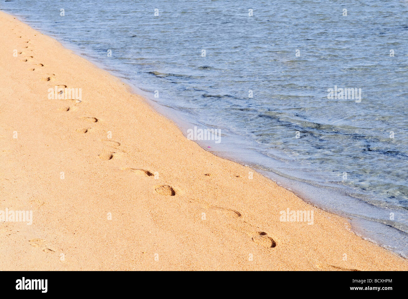 Orme sulla sabbia in riva al mare Foto Stock