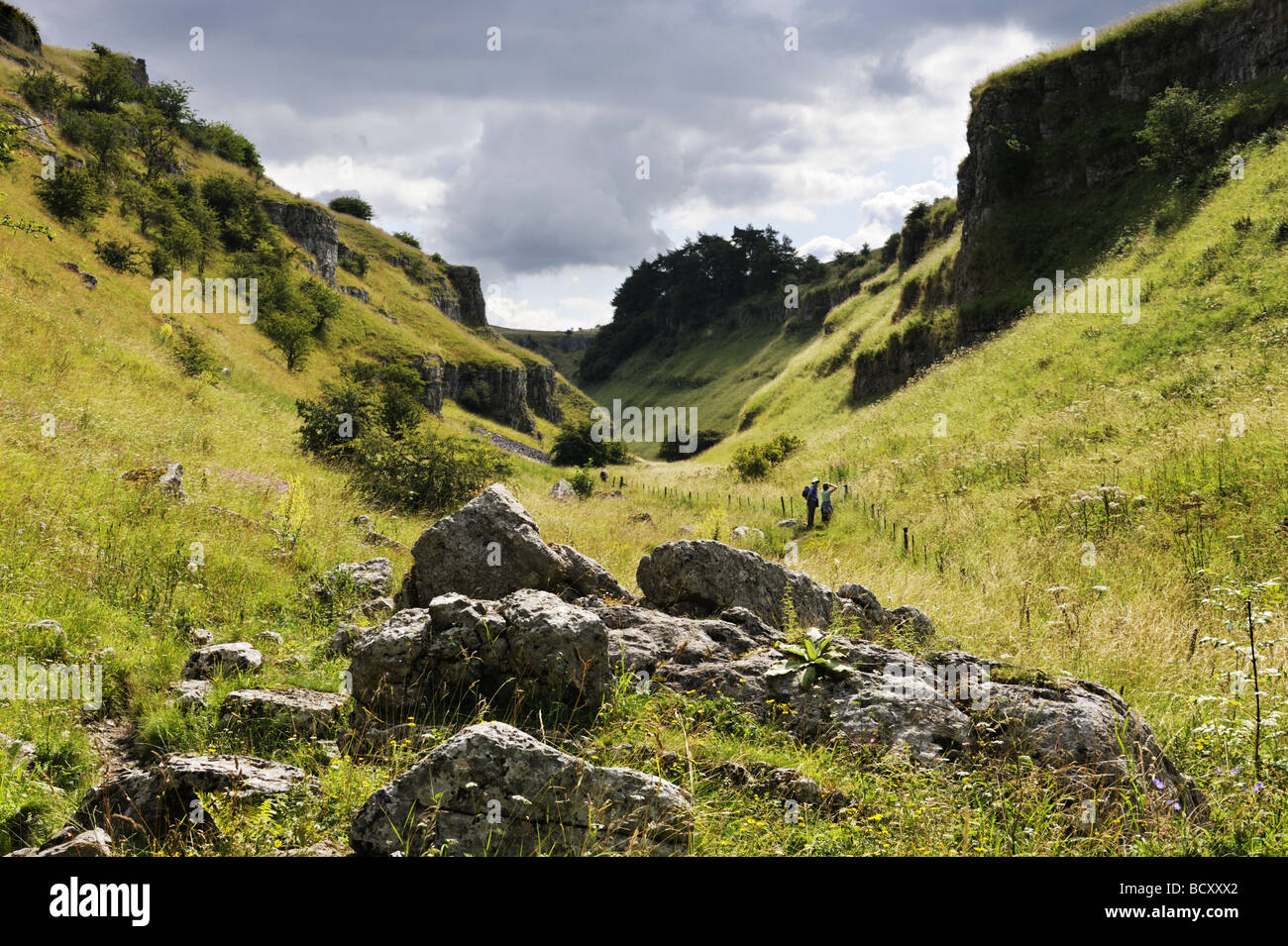Lathkill Dale, Parco Nazionale di Peak District, Derbyshire Foto Stock