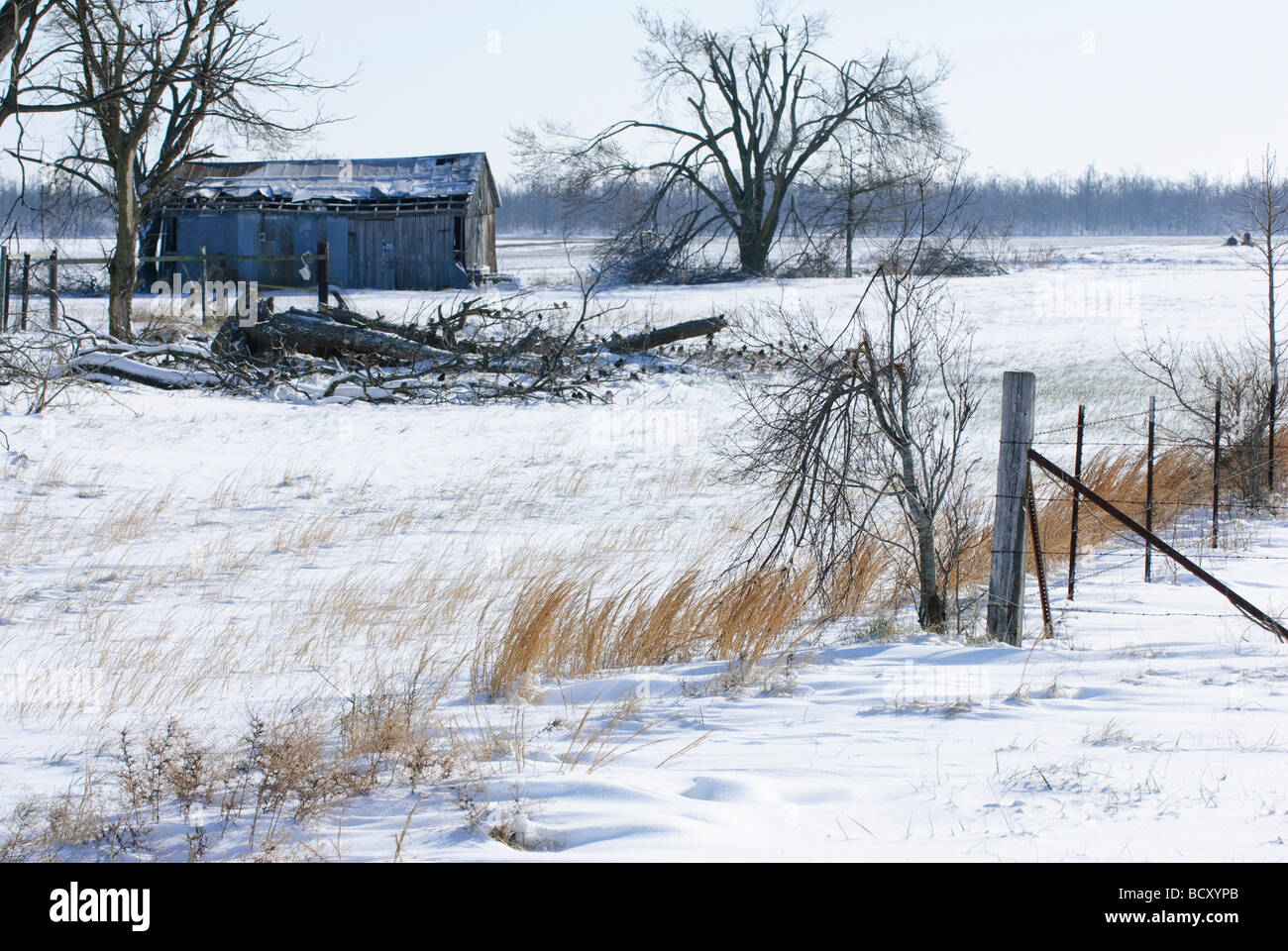 Coperta di neve i terreni agricoli e fatiscente casa colonica nel Nordest Arkansas al di fuori della cresta di noce Foto Stock