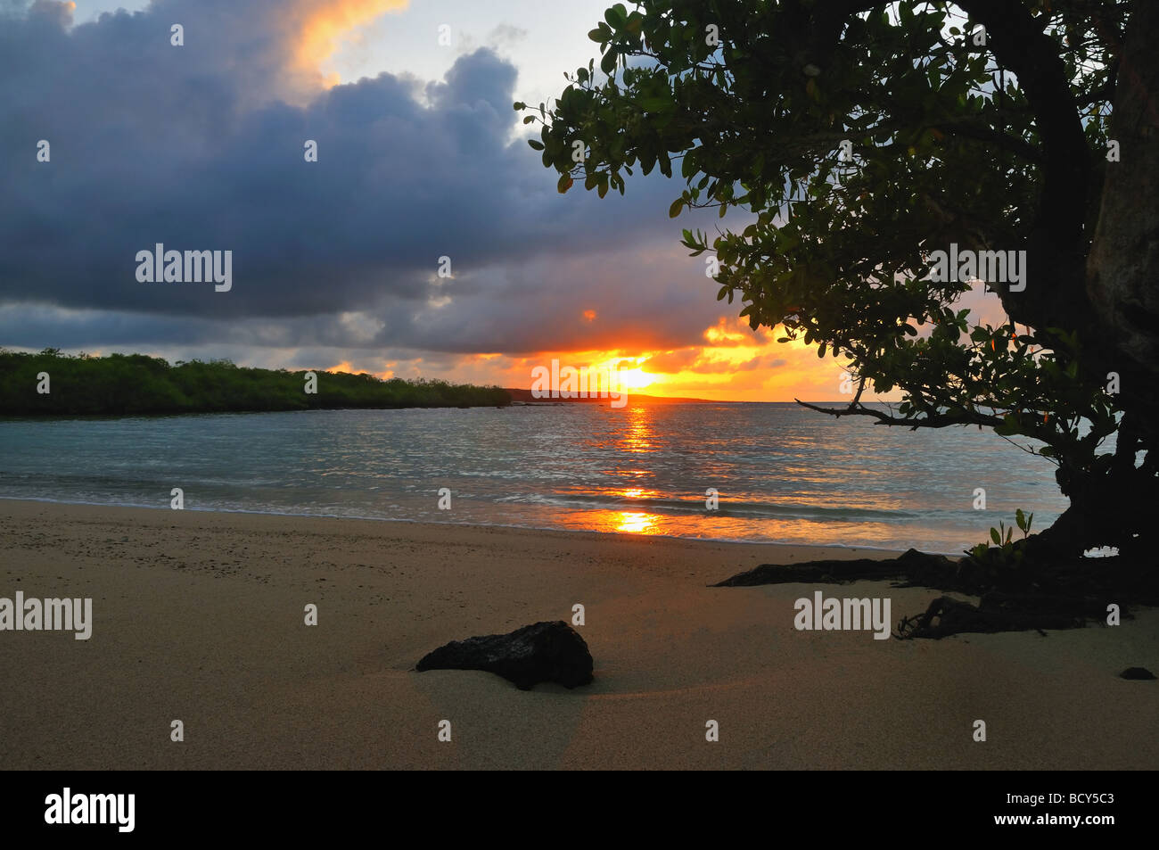 Il sole sorge dall'Oceano Pacifico, colata la mattina prima luce su una mangrovia nelle Galapagos Isola di Santa Fe. Foto Stock