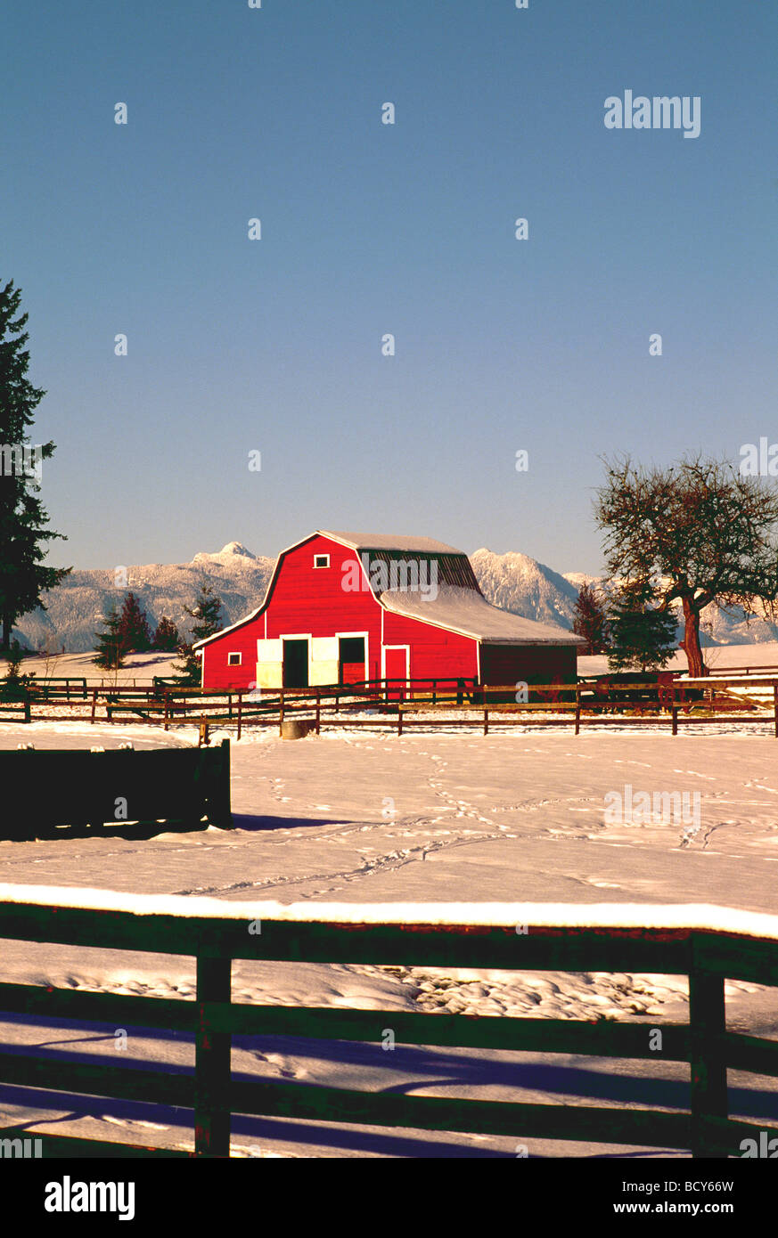 Granaio rosso sulla fattoria, Golden Ears Mountain (Coast Mountains) vicino a Fort Langley, Fraser Valley, British Columbia, Canada, neve invernale Foto Stock