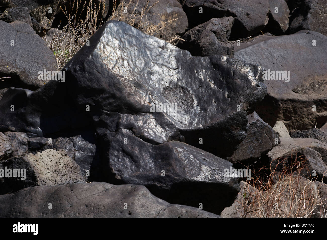 Un flusso di lava roccia lungo le rive del paesaggistico e selvaggio fiume OWYHEE OREGON ORIENTALE Foto Stock