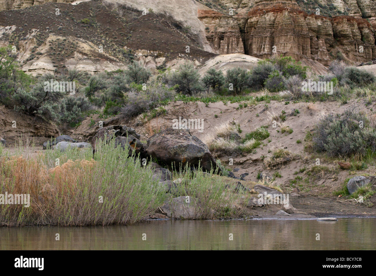 Formazioni rocciose sedimentarie e chaparral lungo le rive del paesaggistico e selvaggio fiume OWYHEE OREGON ORIENTALE Foto Stock