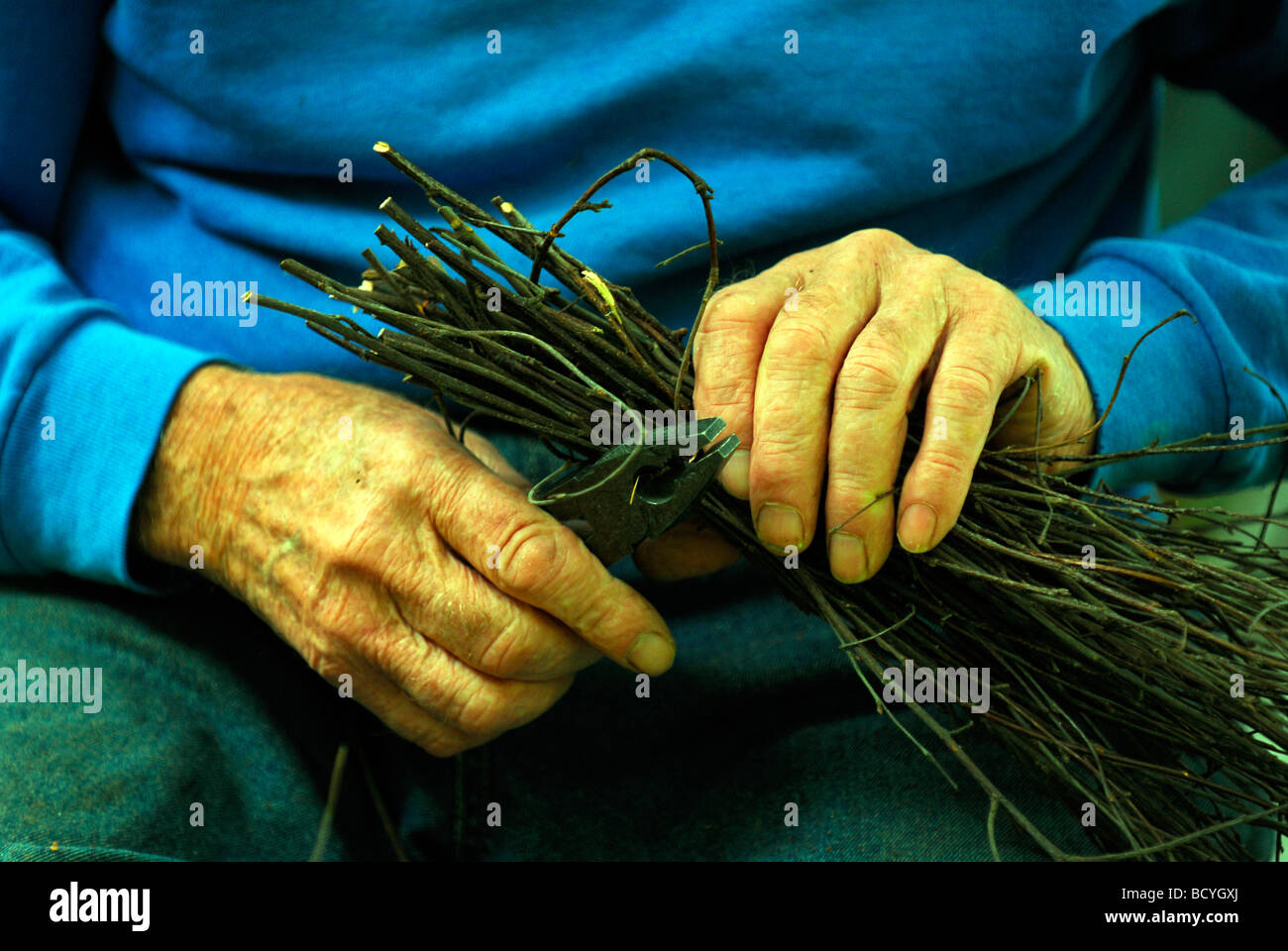 Rustico evento Domenica a vita rurale centro, Tilford, vicino a Farnham, SURREY REGNO UNITO. Una celebrazione delle zone rurali e di modi di vita tradizionali. Foto Stock