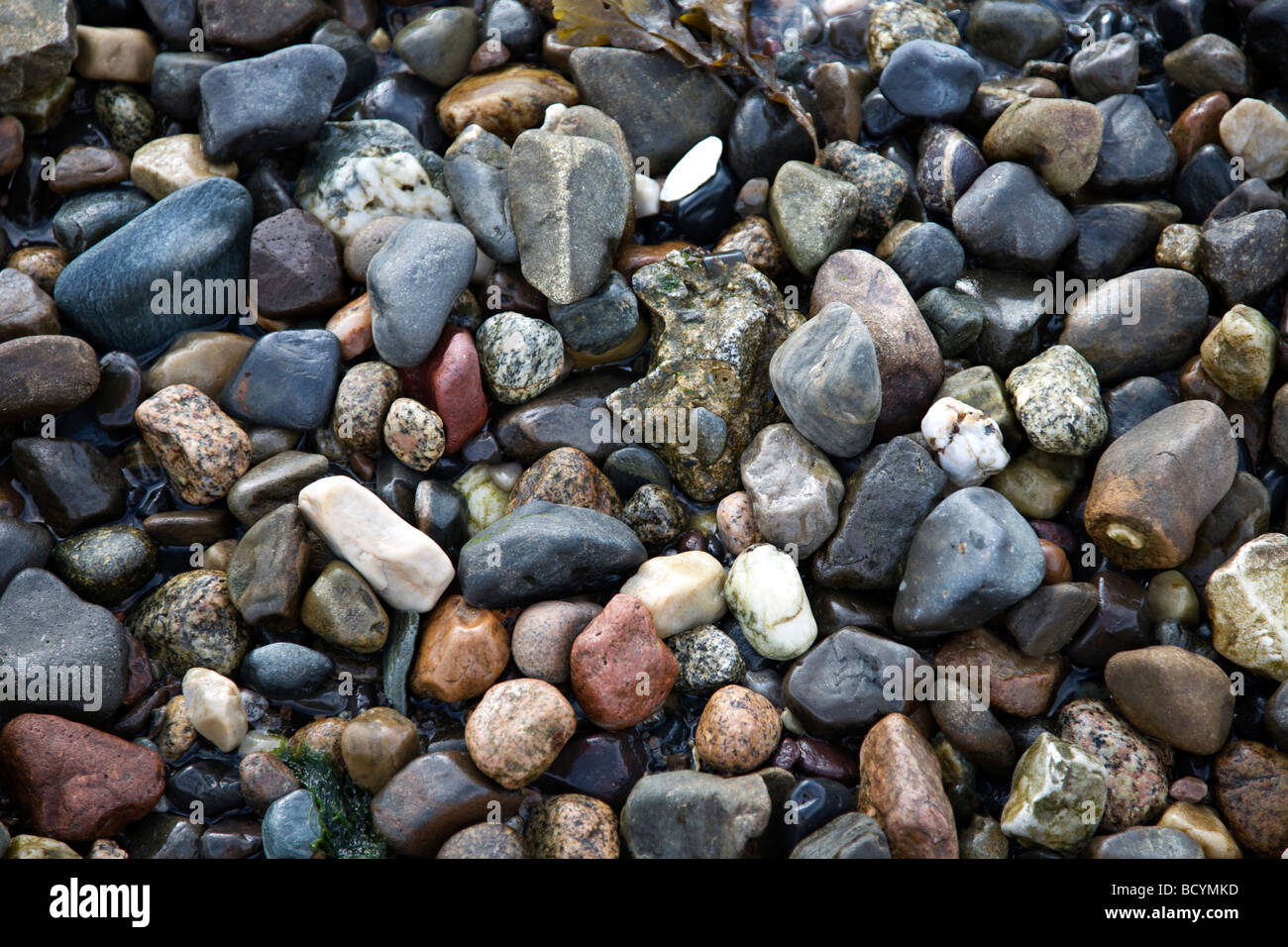 I ciottoli sulla spiaggia, Scozia Foto Stock