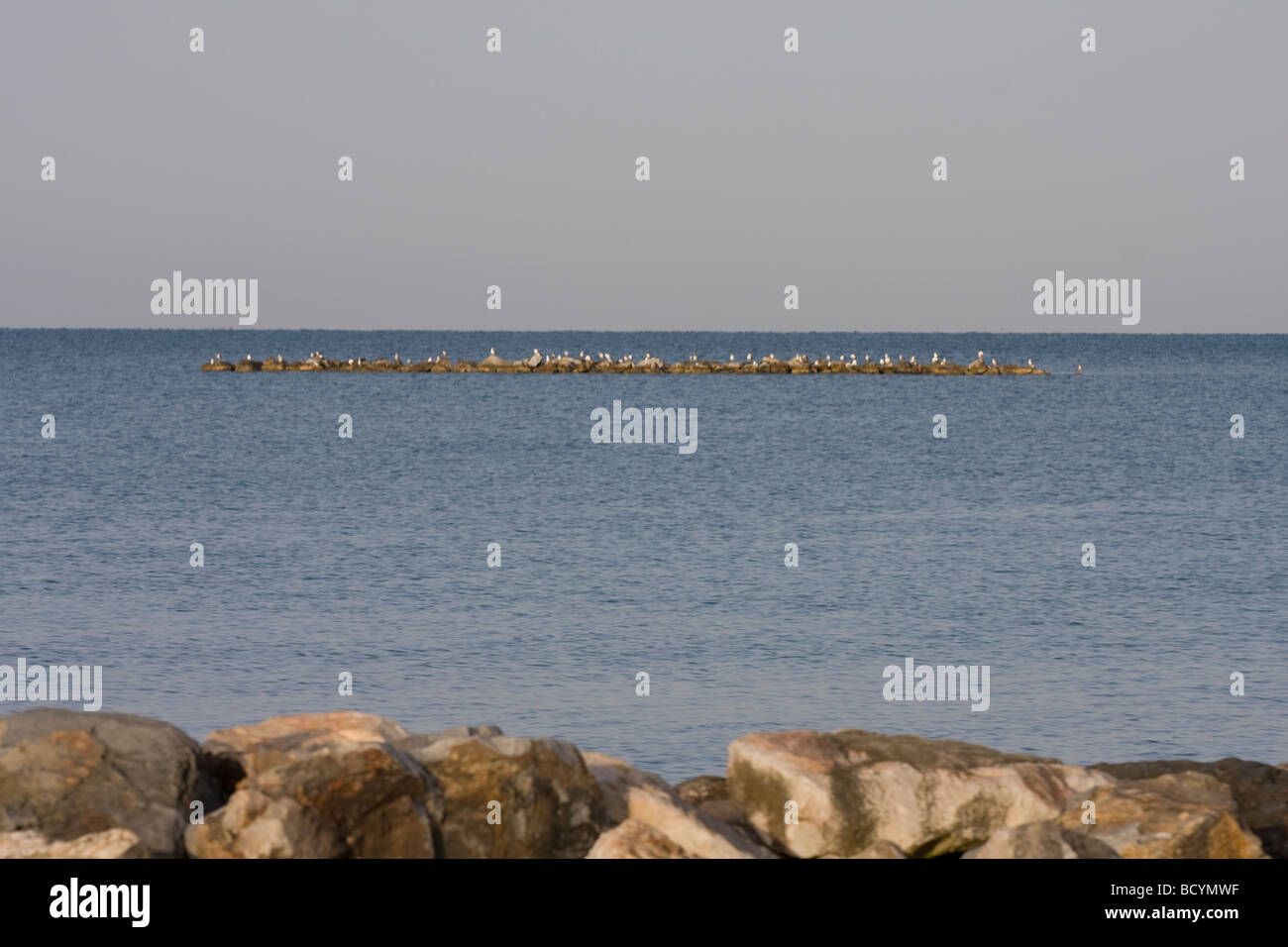 Vista tranquilla del Mar Mediterraneo in Toscana, Italia, con frangiflutti in pietra e gabbiani arroccati. Foto Stock