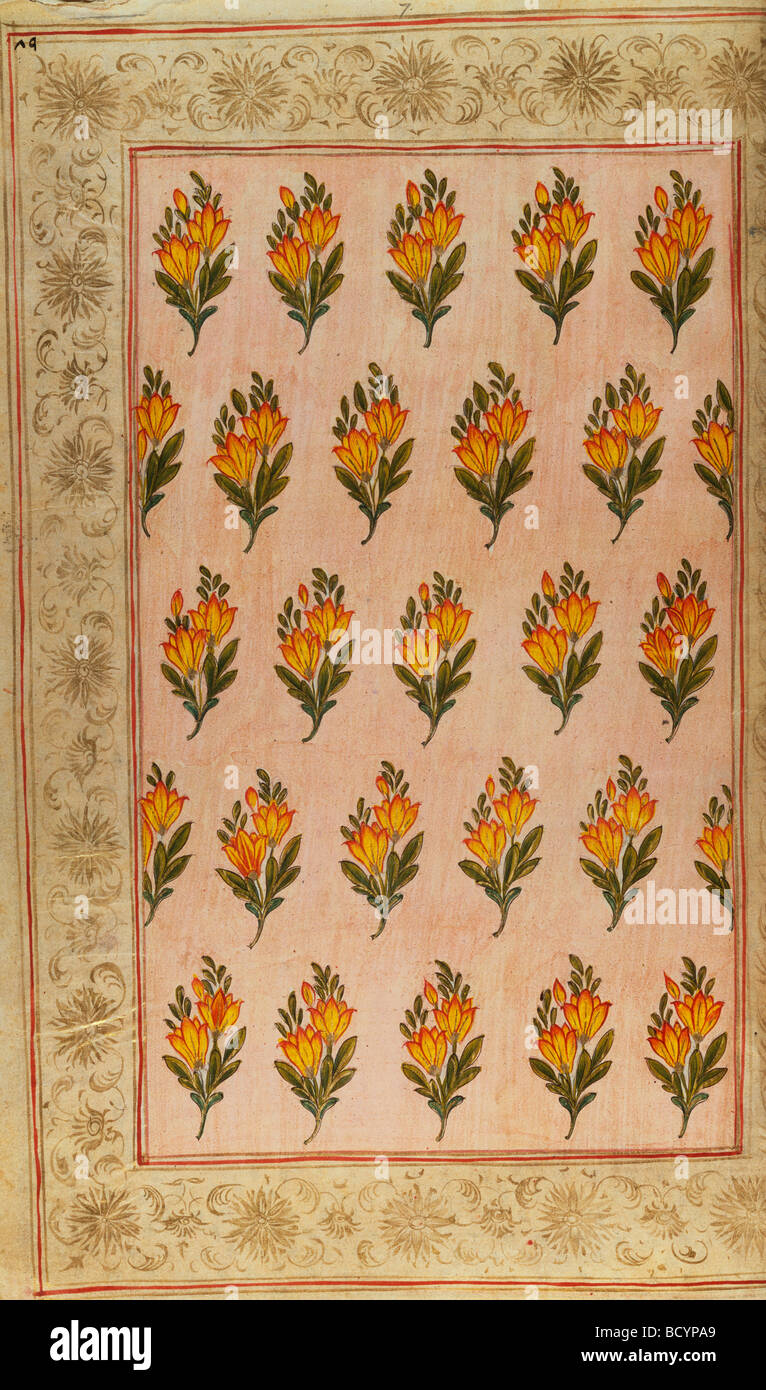 Il design tessile. India, XVIII secolo Foto Stock