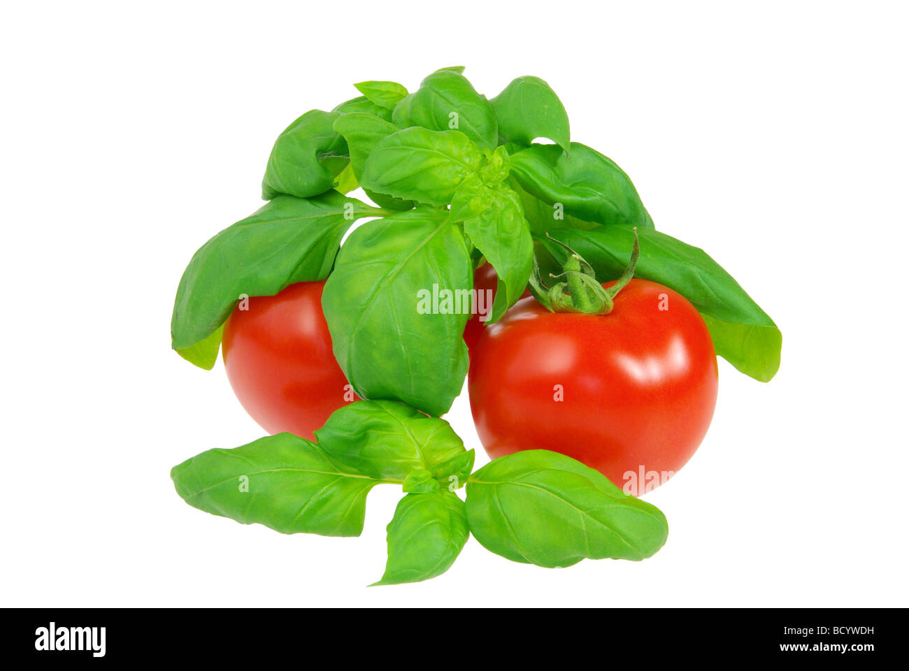 Tomate und Basilikum pomodoro e basilico 04 Foto Stock
