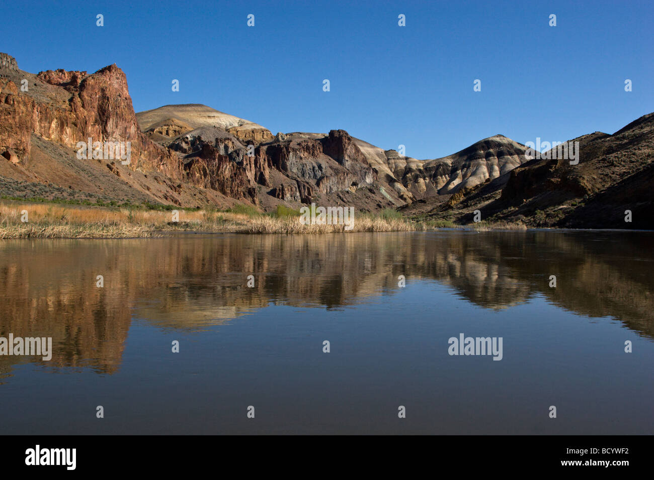 Formazioni rocciose sedimentarie nel selvaggio e scenic OWYHEE River Gorge OREGON ORIENTALE Foto Stock