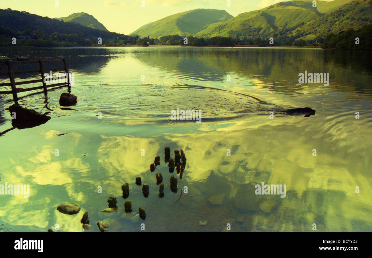 Riflessioni sul Lago di Grasmere nel Lake District Inghilterra Foto Stock