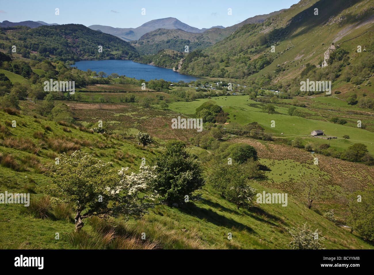 Llyn Gwynant, Snowdonia, Snowdonia National Park (Eryri), Gwynedd, Galles Foto Stock