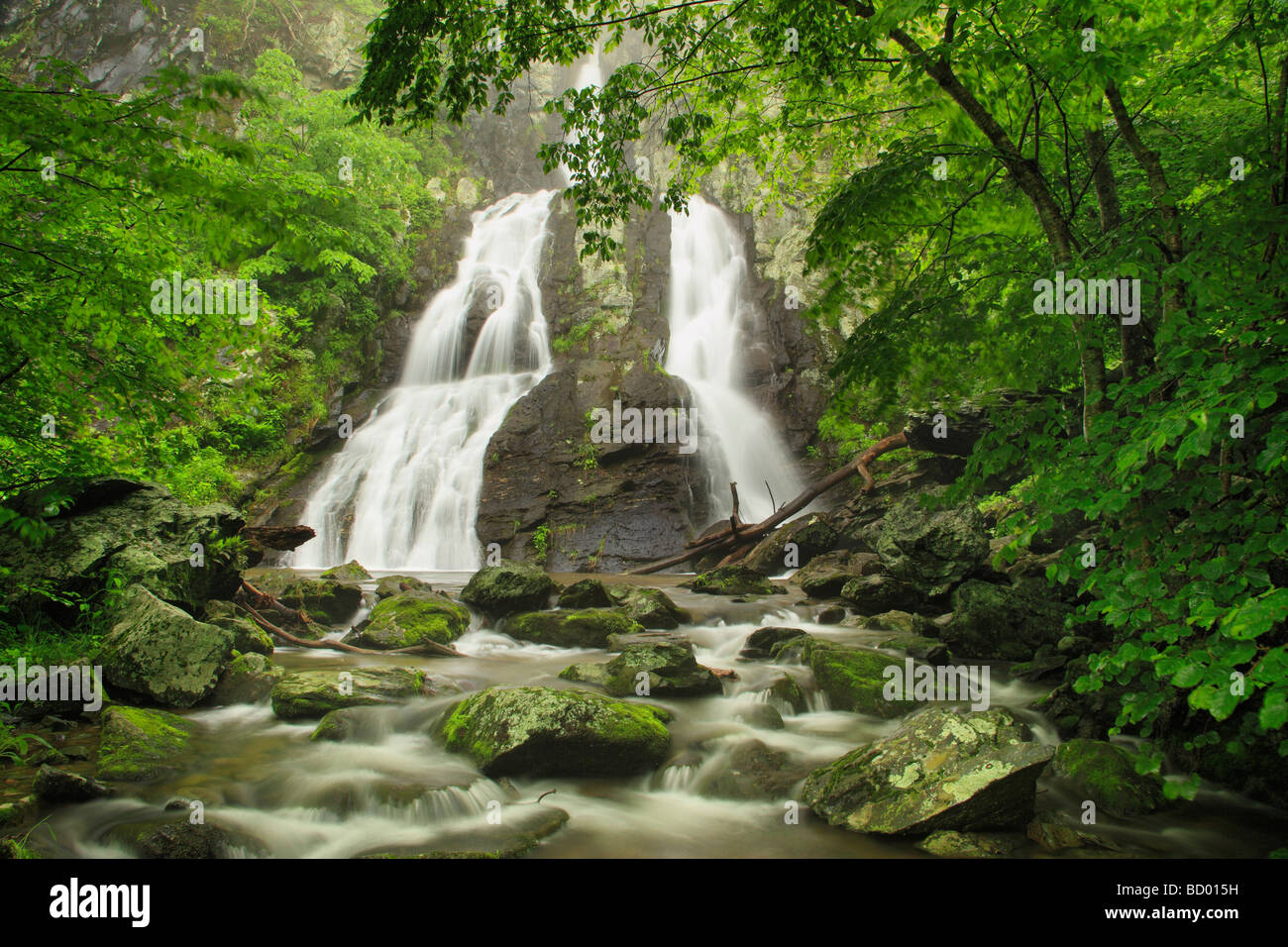 A sud il fiume cascata nel Parco Nazionale di Shenandoah Foto Stock