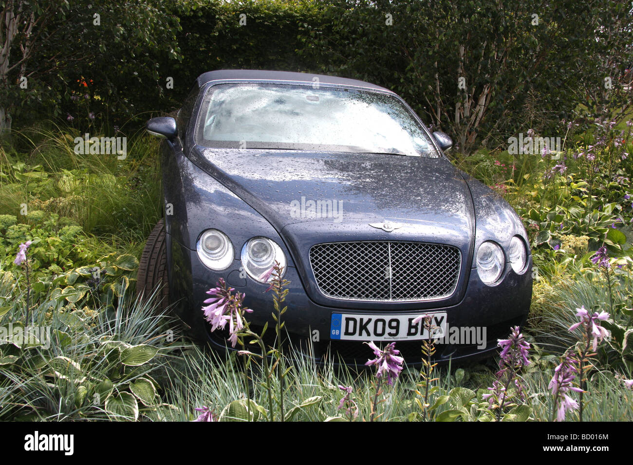 Bentley Continental convertibile in mostra al giardino RHS show, Tatton Park Foto Stock