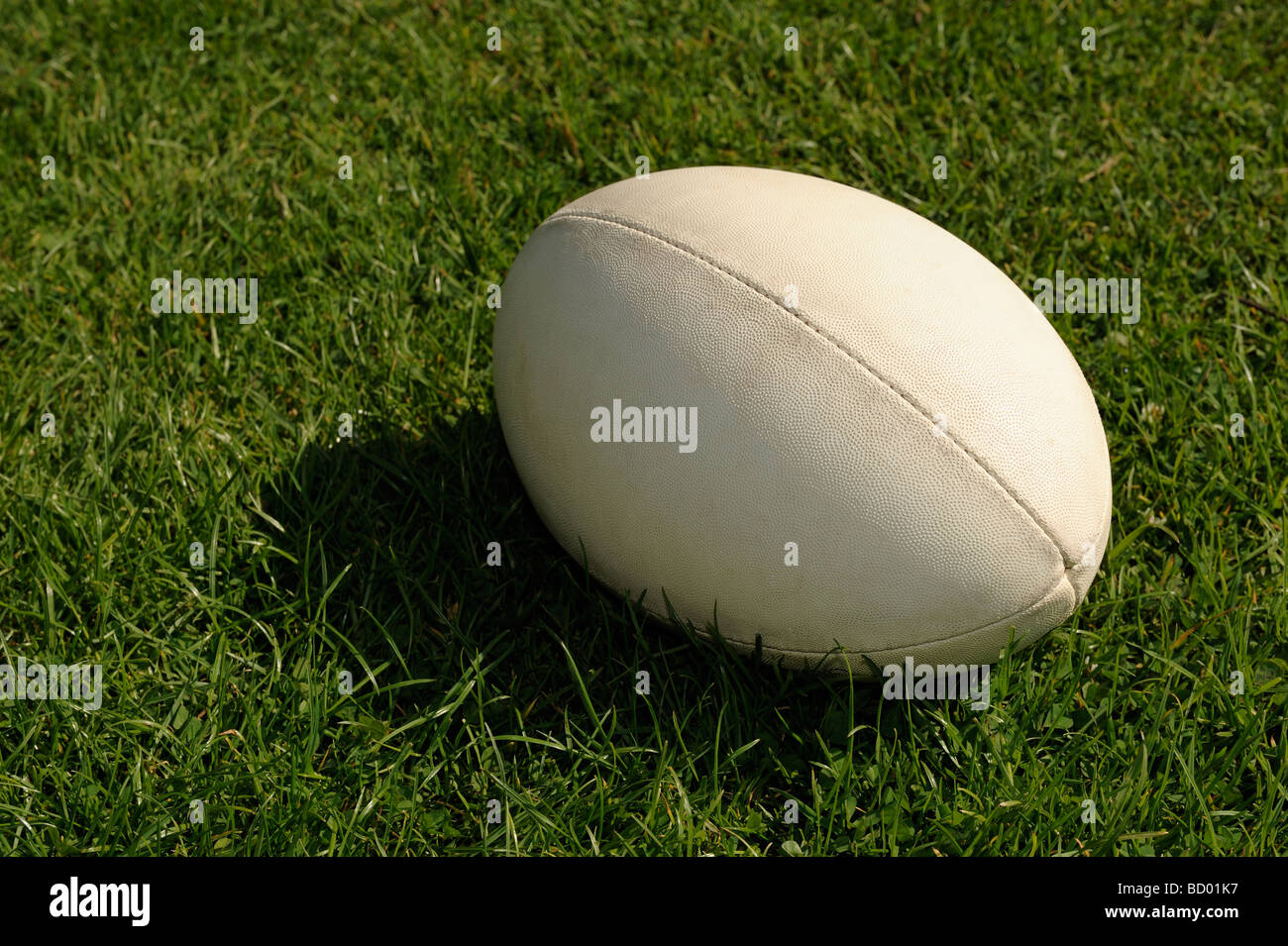 Pallone da rugby Foto Stock