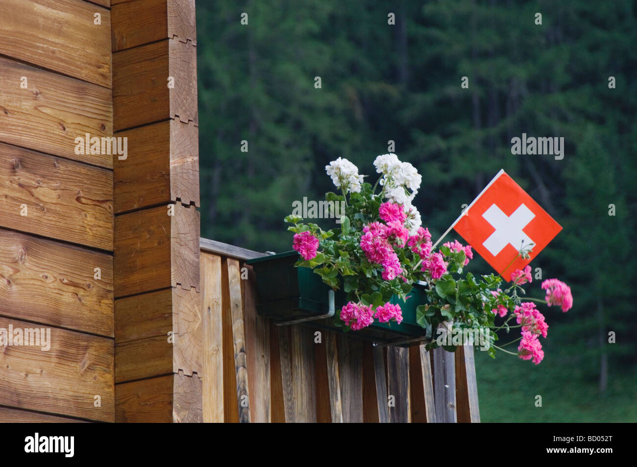 Bandiera svizzera e vaso di fiori Binn Wallis Switzerland Agosto 2006 Foto Stock