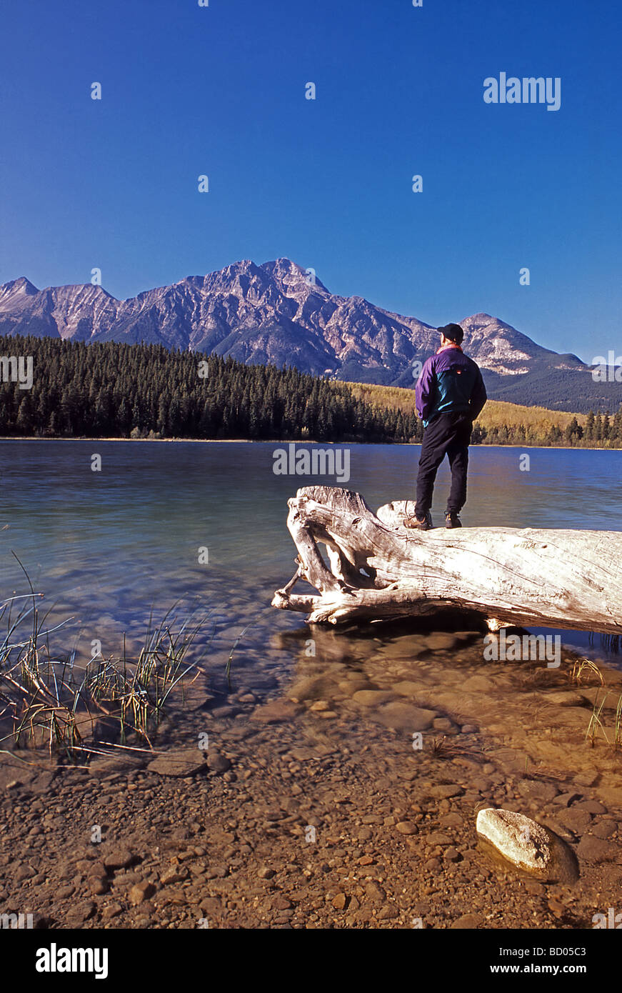Escursionista in piedi sul registro Patricia affacciato sul lago e montagna piramidale del Parco Nazionale di Jasper Alberta Canada Foto Stock