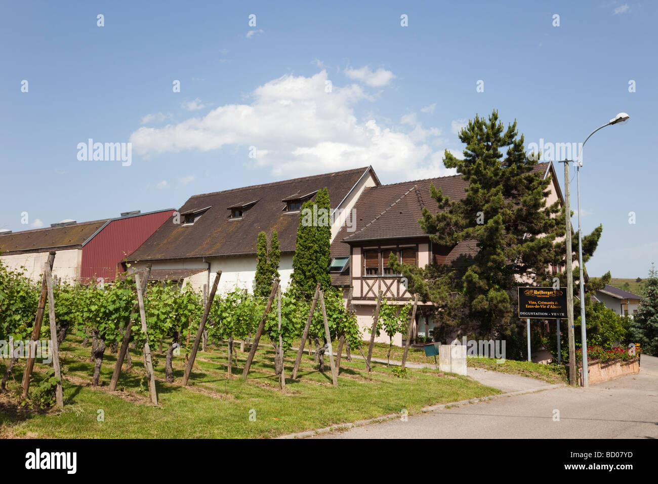 Bergholtz Zell Haut Rhin Alsace Francia vigneto e degustazione shop nella regione vinicola del vino Alsaziano rotta Foto Stock