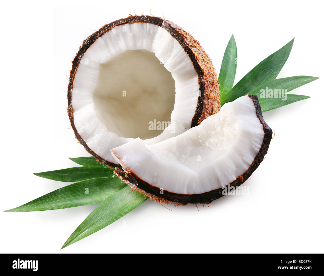 Il cocco su sfondo bianco Foto Stock