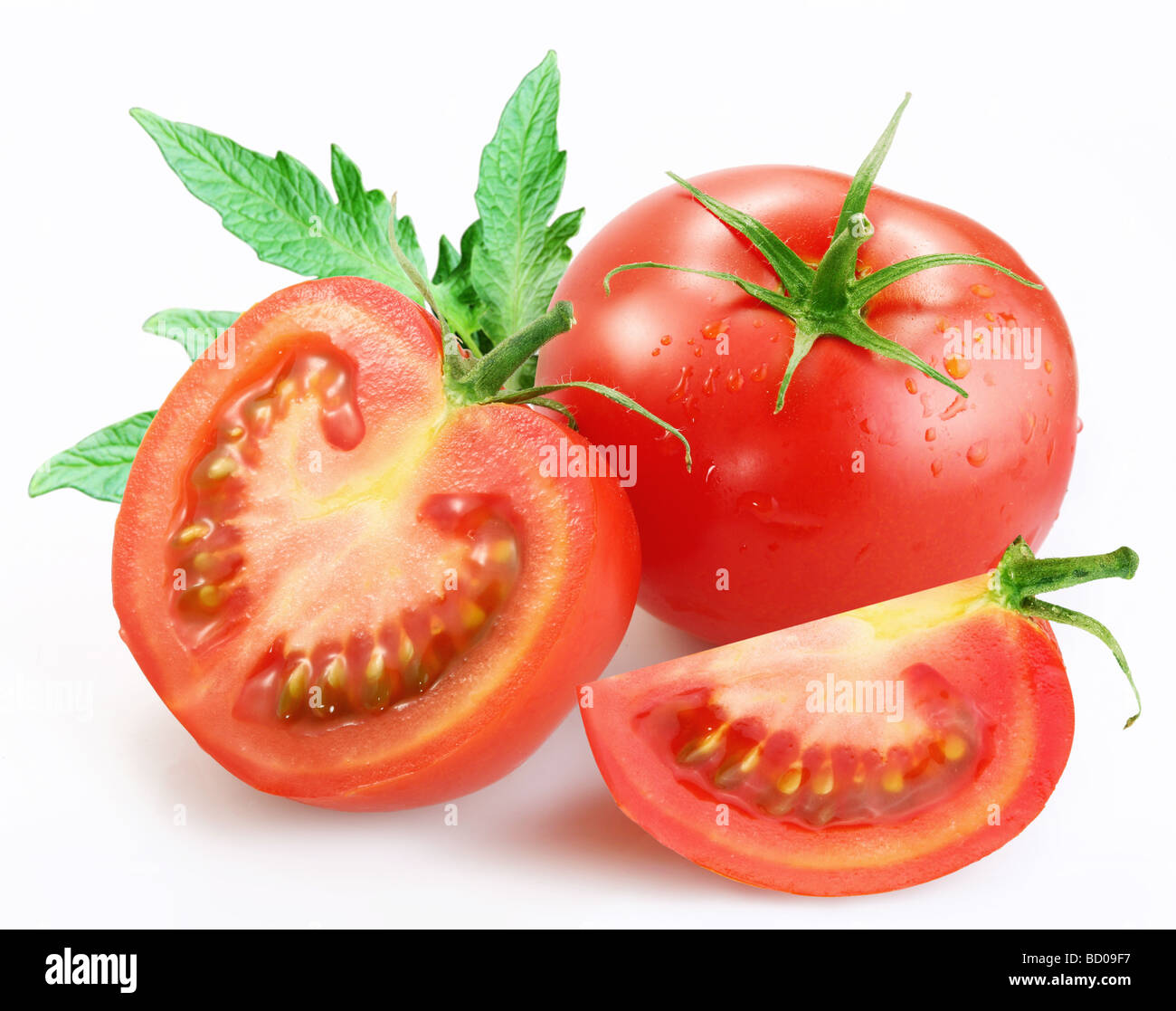 Pomodori su sfondo bianco Foto Stock