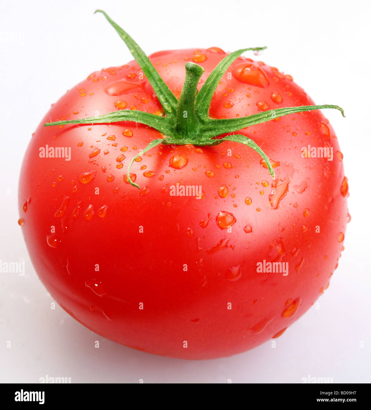 Pomodoro su sfondo bianco Foto Stock