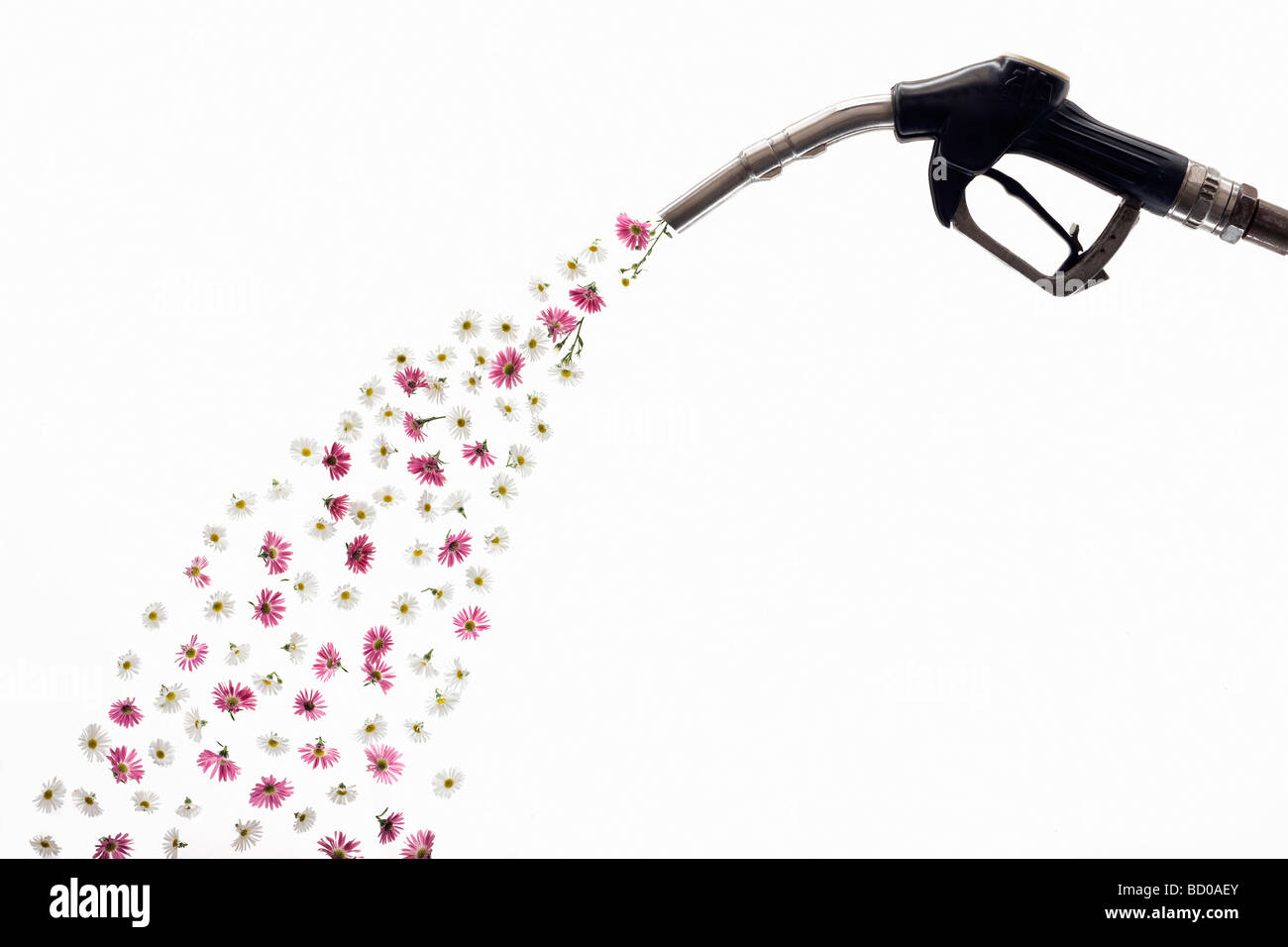 Una pompa di benzina il rilascio di fiori Foto Stock