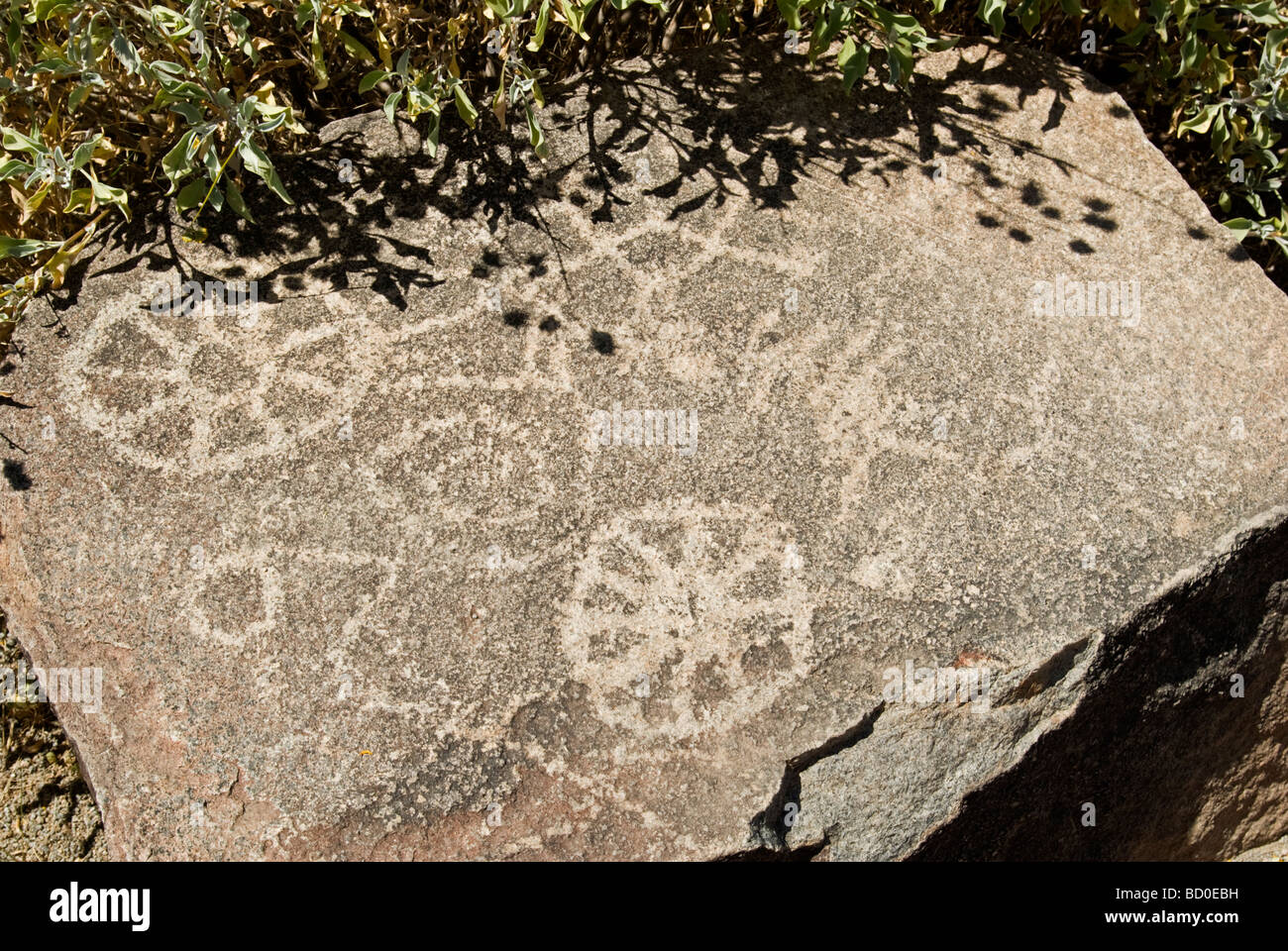 Signal Hill Petroglyph, Parco nazionale del Saguaro West, Tucson, Arizona Foto Stock